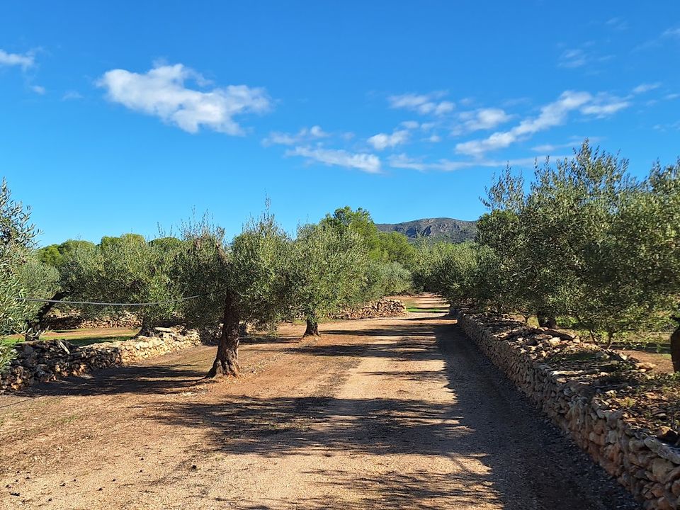 Finca i Tivissa, Tarragona - bilde 4